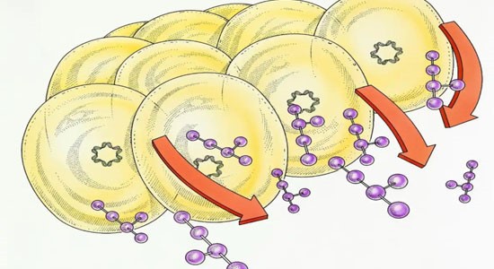 SLU-PP-332 250mcg | Shaanxi BLOOM Tech Co., Ltd SLU-PP-332 250mcg | Shaanxi BLOOM Tech Co., Ltd