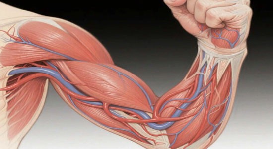 SLU-PP-332 500mcg | Shaanxi BLOOM Tech Co., Ltd SLU-PP-332 500mcg | Shaanxi BLOOM Tech Co., Ltd