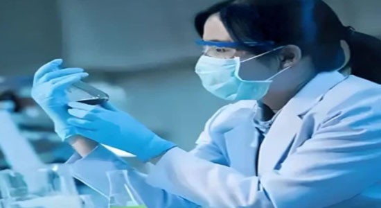 SLU-PP-332 For sale | Shaanxi BLOOM Tech Co., Ltd SLU-PP-332 For sale | Shaanxi BLOOM Tech Co., Ltd